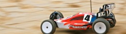 Europeo 2 WD Torino 2008