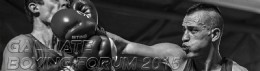 GALLIATE BOXING FORUM 2105