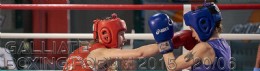 GALLIATE BOXING FORUM 20/06